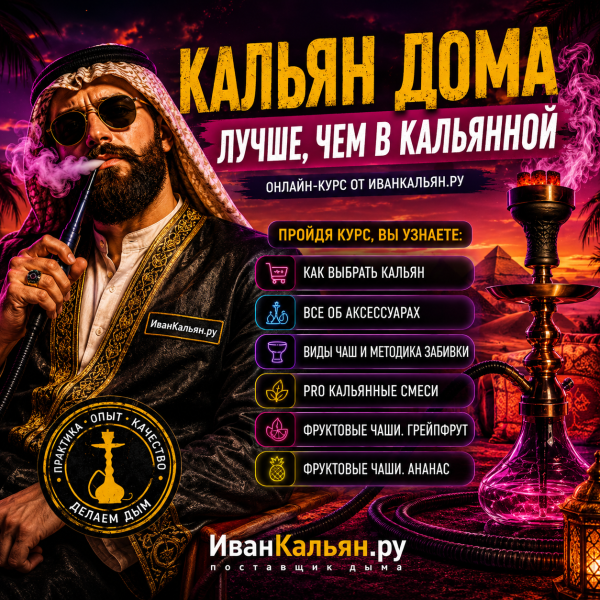 Онлайн-курс БАЗА в Новом Уренгое