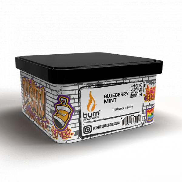 Табак BURN BLUEBERRY MINT 200 грамм в Новом Уренгое