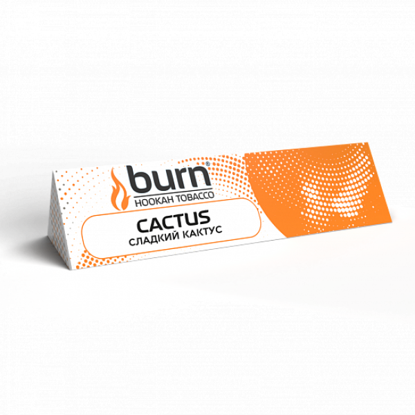 Табак BURN CACTUS 25 грамм в Новом Уренгое