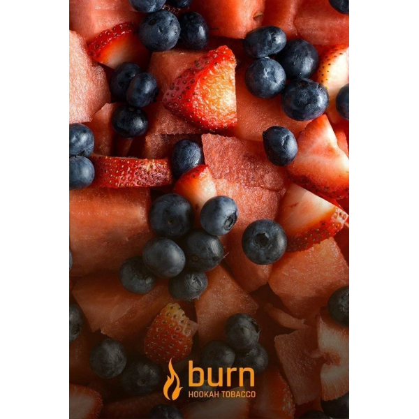 Табак Burn Berried Treasure 100 грамм в Новом Уренгое