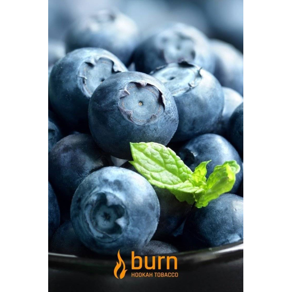 Табак Burn Blueberry Mint 100 грамм в Новом Уренгое