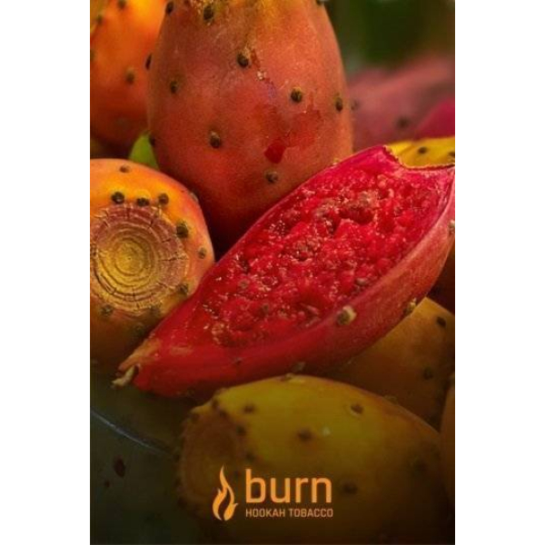 Табак Burn Cactus 100 грамм в Новом Уренгое