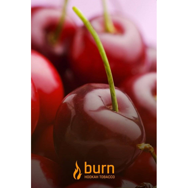 Табак Burn Candy Cherry 100 грамм в Новом Уренгое