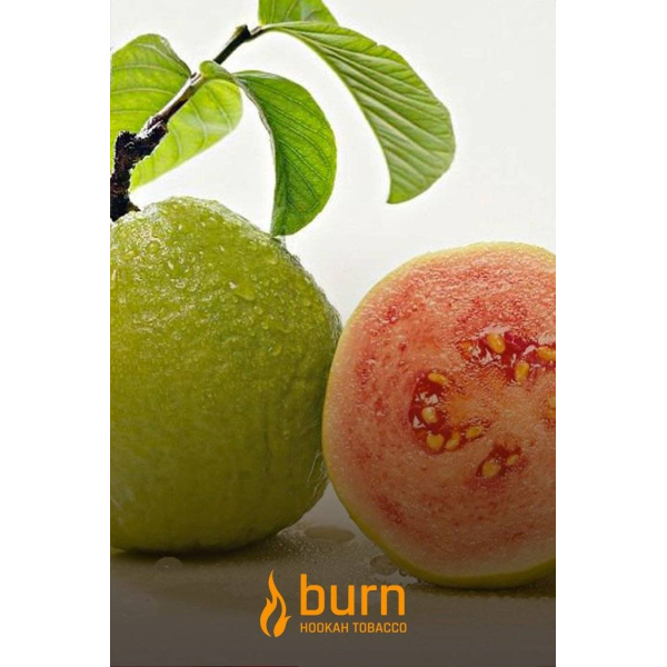 Табак Burn Guava 100 грамм в Новом Уренгое