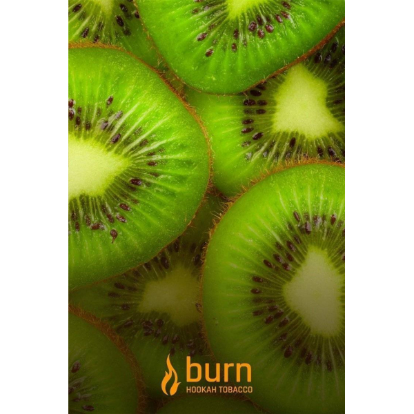Табак Burn Kiwi 100 грамм в Новом Уренгое
