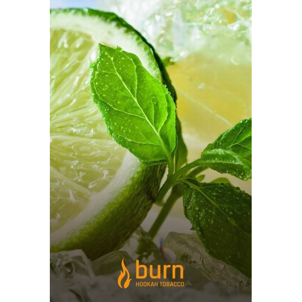 Табак Burn Lemon Mint 100 грамм в Новом Уренгое