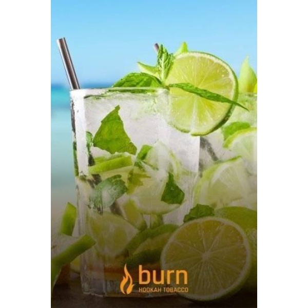 Табак Burn Mojito 100 грамм в Новом Уренгое