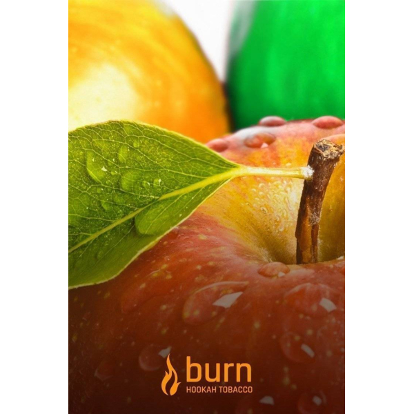 Табак Burn Three Apples 100 грамм в Новом Уренгое