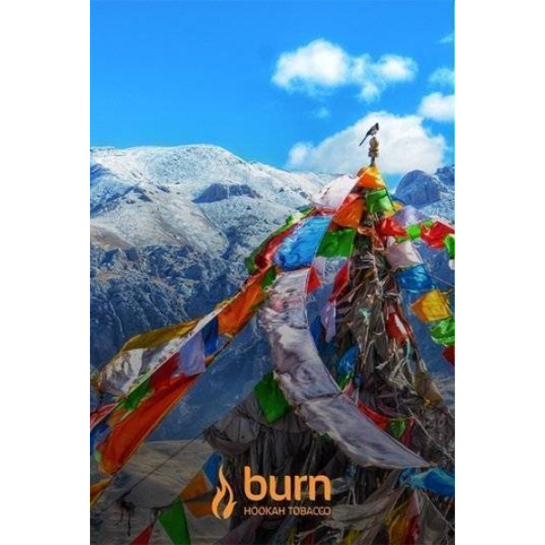 Табак Burn Tibet 100 грамм в Новом Уренгое