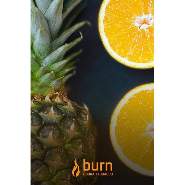 Табак Burn White Night 100 грамм в Новом Уренгое