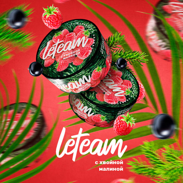 Смесь Leteam С Хвойной Малиной 25 гр в Новом Уренгое