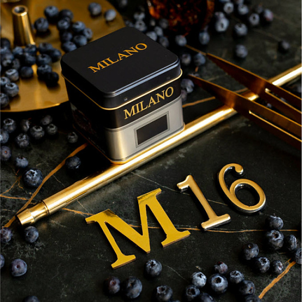 Табак MILANO GOLD М16 BILBERRY 100 гр в Новом Уренгое