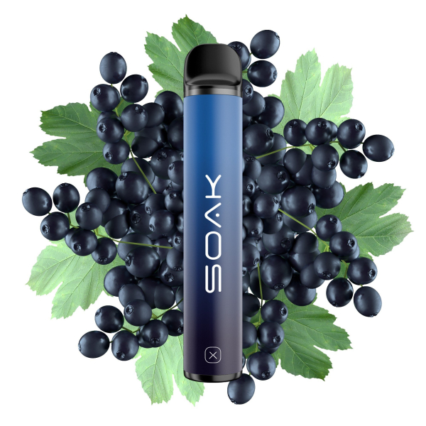 SOAK X Forest Blackcurrant (Лесная черная смородина), 1500 тяг в Новом Уренгое