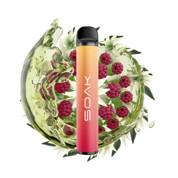 SOAK X Jasmin Raspberry Tea (Жасминовый чай с малиной), 1500 тяг в Новом Уренгое