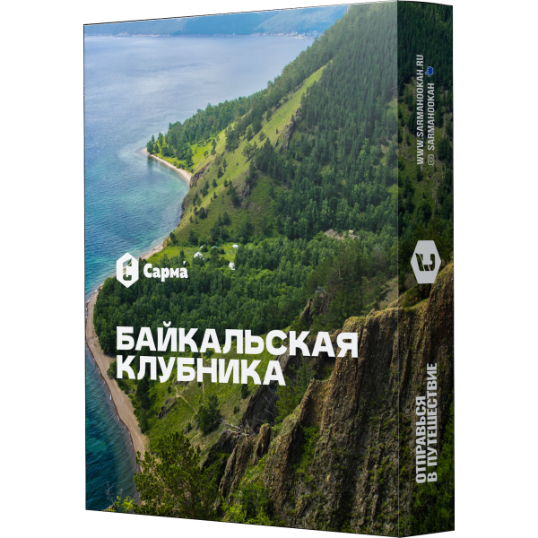 Табак Сарма Байкальская Клубника 25 гр в Новом Уренгое
