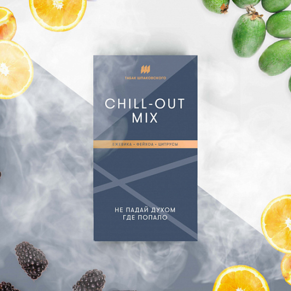 Табак Шпаковского Chill Out (Ежевика Фейхоа Цитрусы) 40 грамм в Новом Уренгое