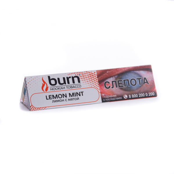 Табак Burn Lemon Mint  25 грамм в Новом Уренгое